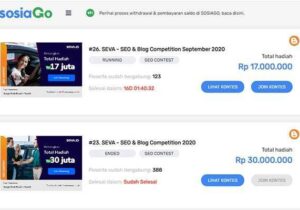 Hasil Kontes SEO SEVA 2