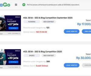 Hasil Kontes SEO SEVA 2