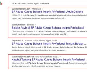 Artikel EF Adults Muncul di SERP