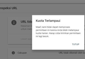 Kena Kuota Terlampaui di Google Search Console