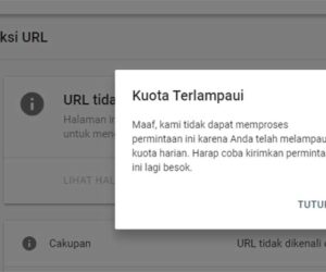 Kena Kuota Terlampaui di Google Search Console