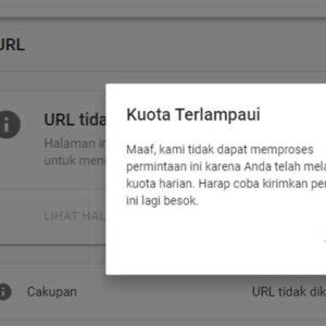 Kena Kuota Terlampaui di Google Search Console