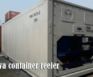 sewa container reefer