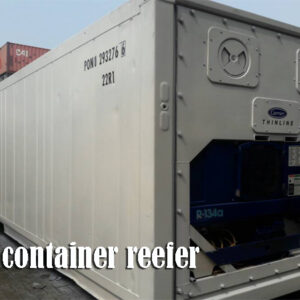sewa container reefer