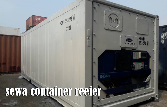 sewa container reefer