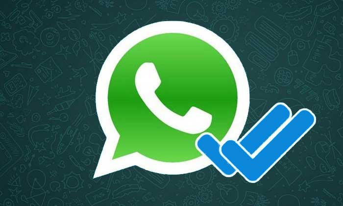Centang Biru di WhatsApp