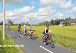 Tour Sepeda di Bali