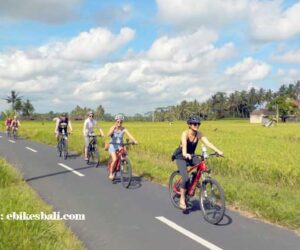 Tour Sepeda di Bali