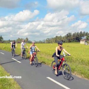 Tour Sepeda di Bali