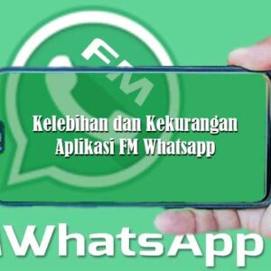 Kelebihan dan Kekurangan Aplikasi FM Whatsapp