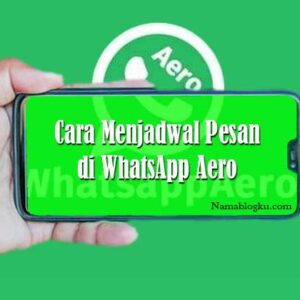 WhatsApp Aero