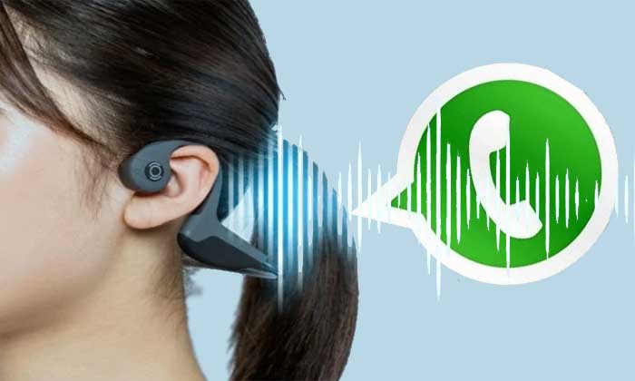 aplikasi sadap whatsapp