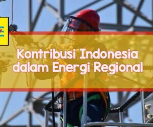 pln