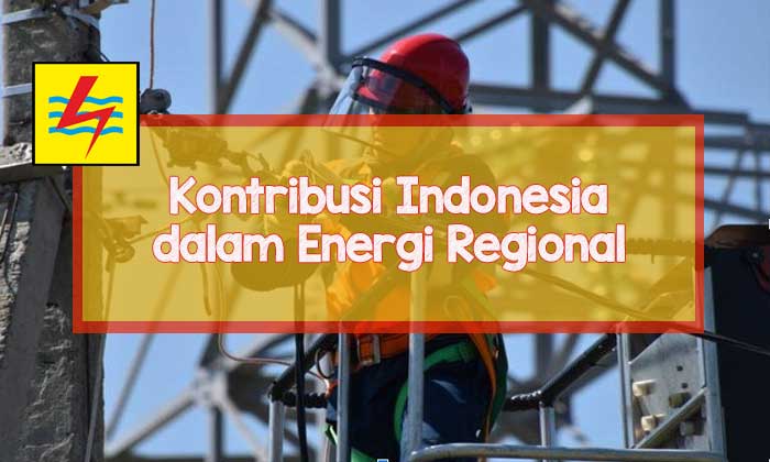 pln