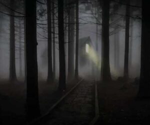 novel warung tengah malam