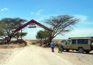 taman safari serengeti tanzania