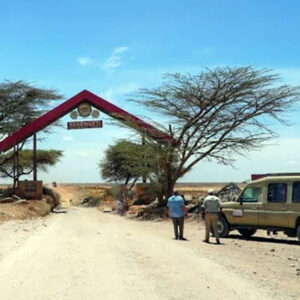 taman safari serengeti tanzania