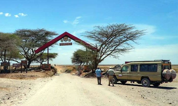 taman safari serengeti tanzania